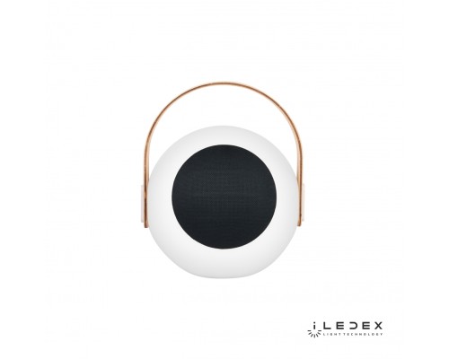 Настольный светильник iLedex Giggle EYS0970-CH 4W белый