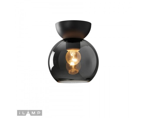 Светильник потолочный iLamp Mono C6079-1 BK+SM