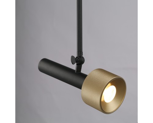 Светильник потолочный iLEDEX Delta 2361-1 BK+BR