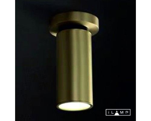 Настенно-потолочный светильник iLamp PLUM 8861C BRASS&BLACK
