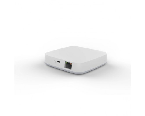 Проводной шлюз Zigbee для управления трековыми смарт светильниками iLEDEX TECHNICAL VISION ZGB 1