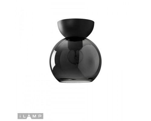 Светильник потолочный iLamp Mono C6079-1 BK+SM