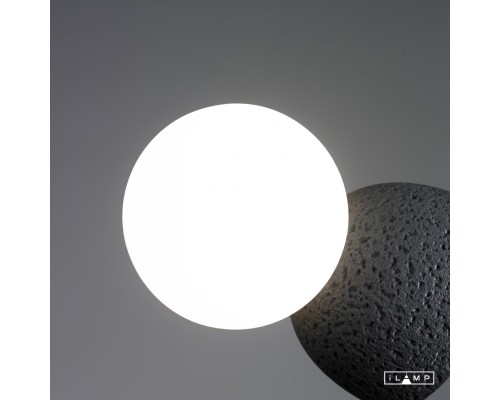 Настенный светильник iLamp FOXTROT 10695W/1-D100 BLACK&WHITE