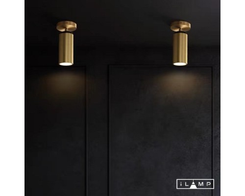 Настенно-потолочный светильник iLamp PLUM 8861C BRASS&BLACK