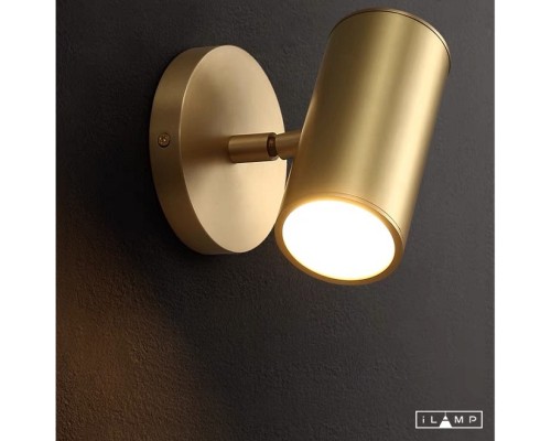 Настенный светильник iLamp PLUM  8860W BRASS&BLACK