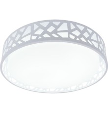 Светильник потолочный Leone TL1205X-72WH Toplight LED 72W 3000-6000K белый