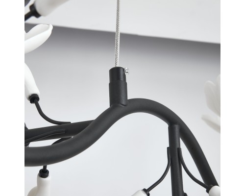 Люстра подвесная Ceramo BW Lightstar 799087