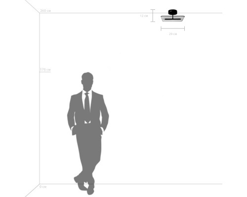 Люстра потолочная Acrile Lightstar 738043