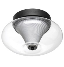 Светильник настенно-потолочный Palermo Lightstar 612017