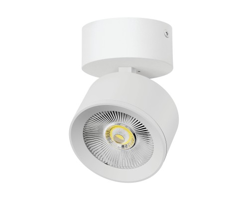 Светильник накладной LED 15W с накладной чашей Alta Pro Lightstar A5546SO