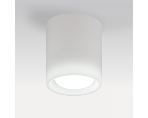Светильник PVC накладной Solido E27 Lightstar 216626