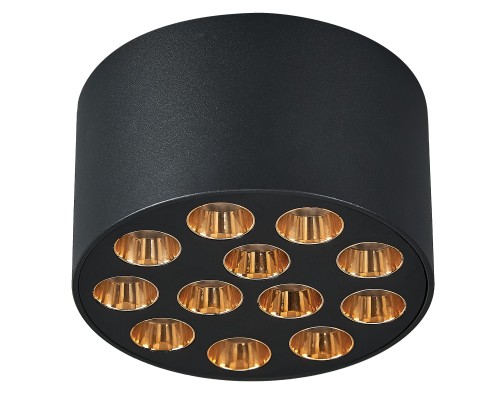 Светильник потолочный 9W 750LM 4000K, черный/золото Guarda Lightstar 080942