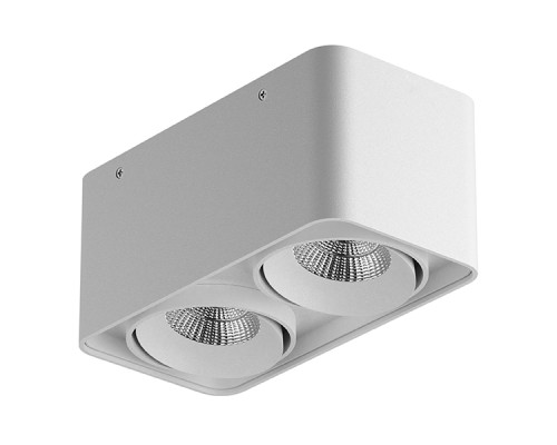 052326-IP65 Светильник MONOCCO LED 2х10W 1200LM 30G БЕЛЫЙ 3000K (в комплекте)