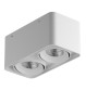 052326-IP65 Светильник MONOCCO LED 2х10W 1200LM 30G БЕЛЫЙ 3000K (в комплекте)