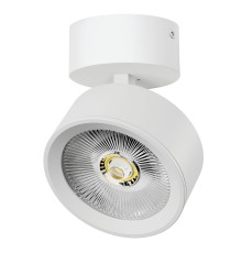 Светильник накладной LED 30W с накладной чашей Alta Pro Lightstar A5646SO
