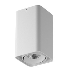 052336-IP65 Светильник MONOCCO LED10W 600LM 30G БЕЛЫЙ 3000K (в комплекте)