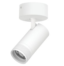 Светильник накладной 30W 2100LM 20-55G с адаптером Canno Pro Lightstar C4306SO