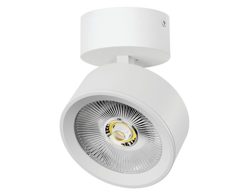 Светильник накладной LED 30W с накладной чашей Alta Pro Lightstar A5636SO
