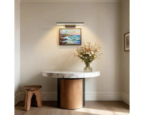 Светильник настенный (Подсветка для картин) Noce Lightstar 201067