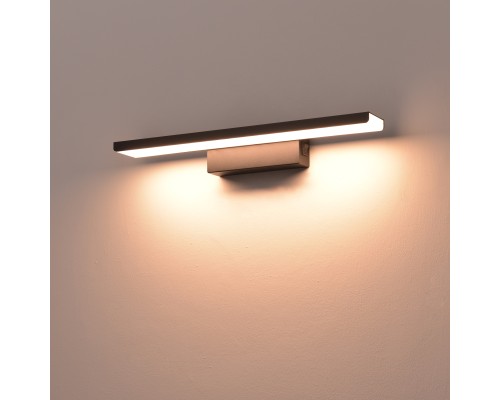 Светильник настенный (Подсветка для картин) Noce Lightstar 201067