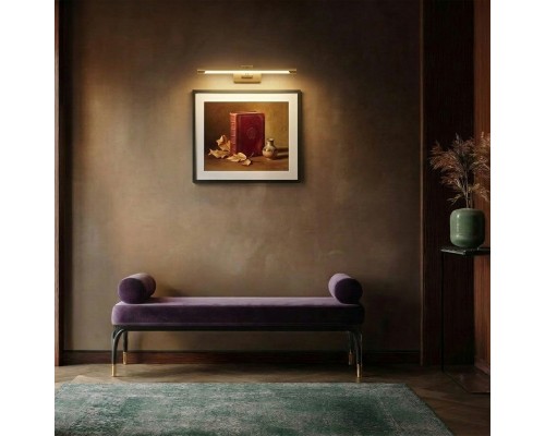 Светильник настенный (Подсветка для картин) Noce Lightstar 201031