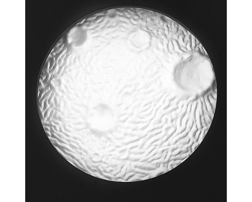 Бра Snodo Lightstar 810577