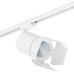 C326496 Cветильник Canno LED (303264+202996)