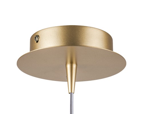 Подвес Forma Lightstar 808023