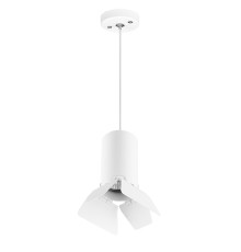Комплект со светильником Rullo Rullo Lightstar RP436436