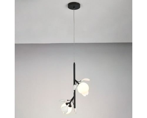 Подвес Ceramo BW Lightstar 799027