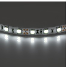Лента белого свечения  Lightstar 400054