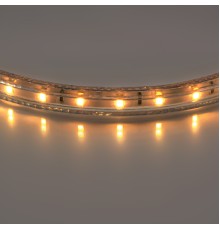 Лента белого свечения  Lightstar 402002