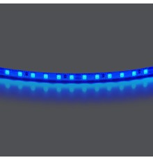 Лента цветного свечения 24V, синий Lightstar Lightstar 420515