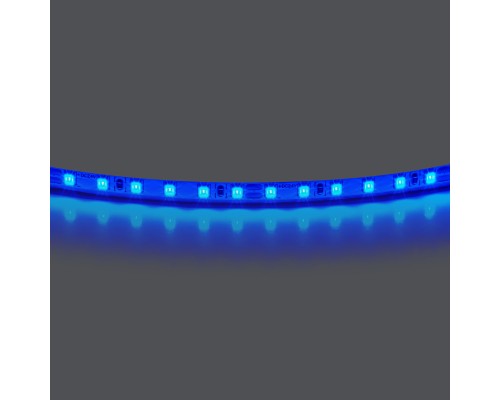 Лента цветного свечения 24V, синий Lightstar Lightstar 420515