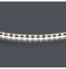 Лента холодного белого свечения 24V Lightstar Lightstar 420505