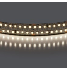 Лента белого свечения 24V Lightstar Lightstar 422004