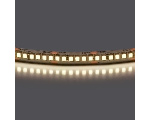 Лента белого свечения 24V Lightstar Lightstar 421024
