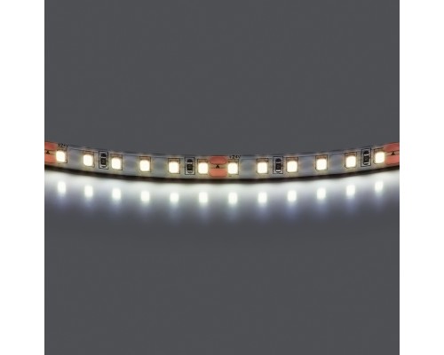 Лента холодного белого свечения 24V Lightstar Lightstar 420805
