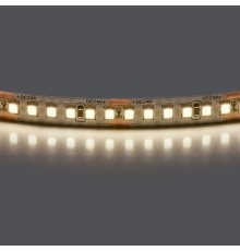 Лента  белого свечения 24V Lightstar Lightstar 421004