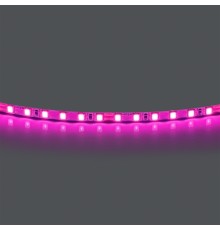 Лента цветного свечения 24V, розовый Lightstar Lightstar 420512