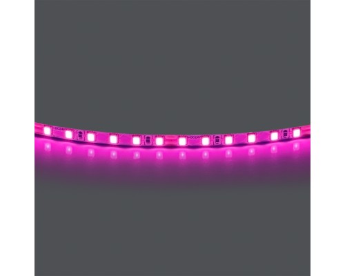 Лента цветного свечения 24V, розовый Lightstar Lightstar 420512