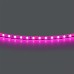 Лента цветного свечения 24V, розовый Lightstar Lightstar 420512