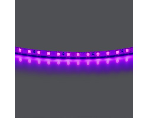 Лента цветного свечения 24V, фиолетовый Lightstar Lightstar 420518