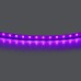 Лента цветного свечения 24V, фиолетовый Lightstar Lightstar 420518