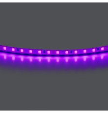 Лента цветного свечения 24V, фиолетовый Lightstar Lightstar 420518