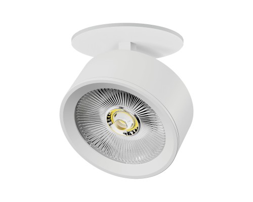 Светильник встраиваемый LED 30W со встроенной чашей Alta Pro Lightstar A5646RS