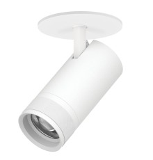 Светильник встраиваемый 30W 2100LM 20-55G с адаптером Canno Pro Lightstar C4306RS