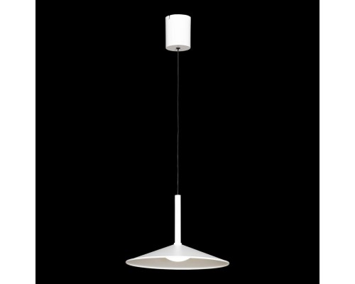 Подвесной светильник Lussole REFUGIO LSP-7432