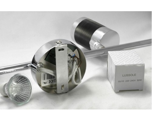 Линейный спотовый светильник Lussole SY5659