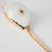 Бра Lussole SY2468